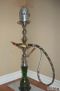 Gif chicha 